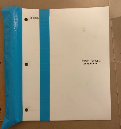 DIY Watermelon Notebook
