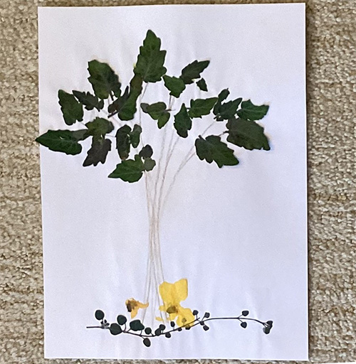 pressed nature collage craft for kids