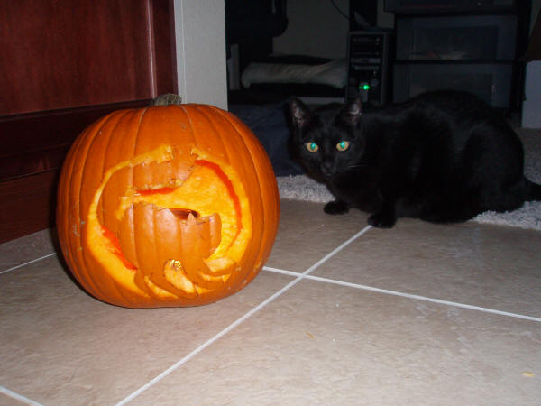FAN ART: Pumpking Carving