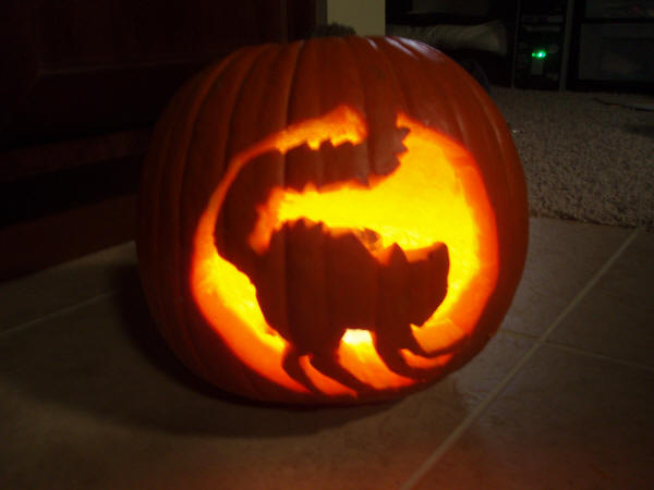 FAN ART: Pumpkin Carving Cat