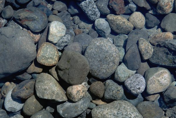 Rock Paintings