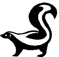 skunk