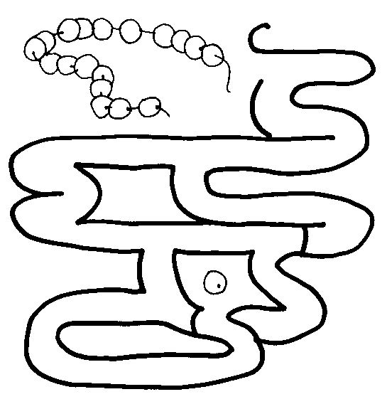 bead maze