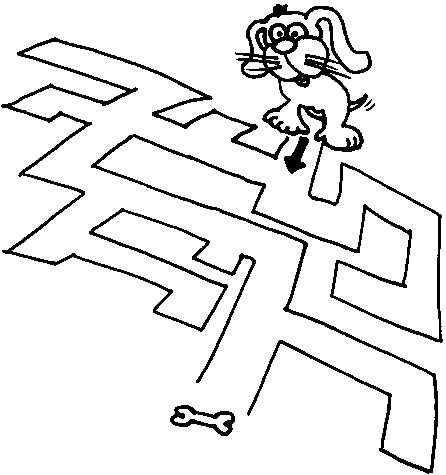 dog maze