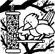 oiseau