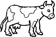 vache