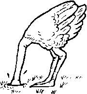 ostrich
