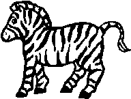 zèbre