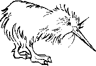 kiwi