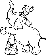 un éléphant