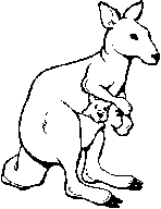 kangourou