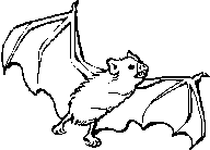 bat