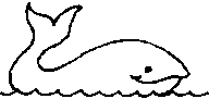 baleine