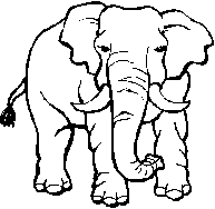 éléphant