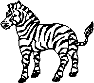 zebra