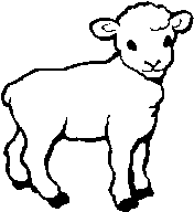 lamb