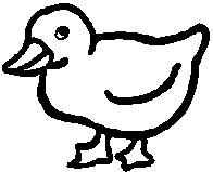 oiseaux