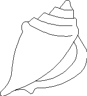 shell