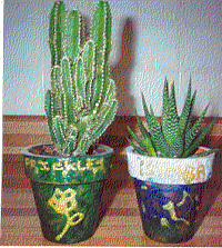 Painted Pots