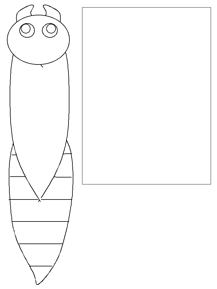 template