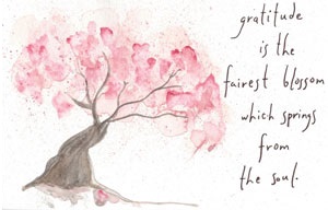 Gratitude is the fairest blossom which springs from the soul.
