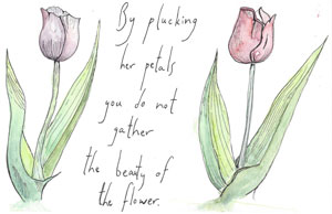 By plucking her petals you do not gather the beauty of the flower.