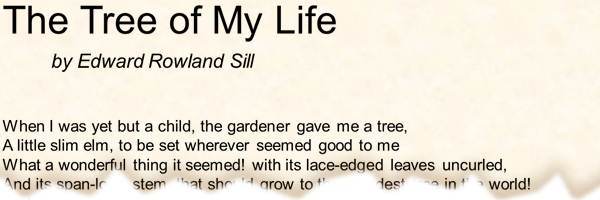 printable poetry template in Arial font