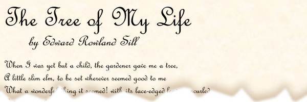 printable poetry template in Script font