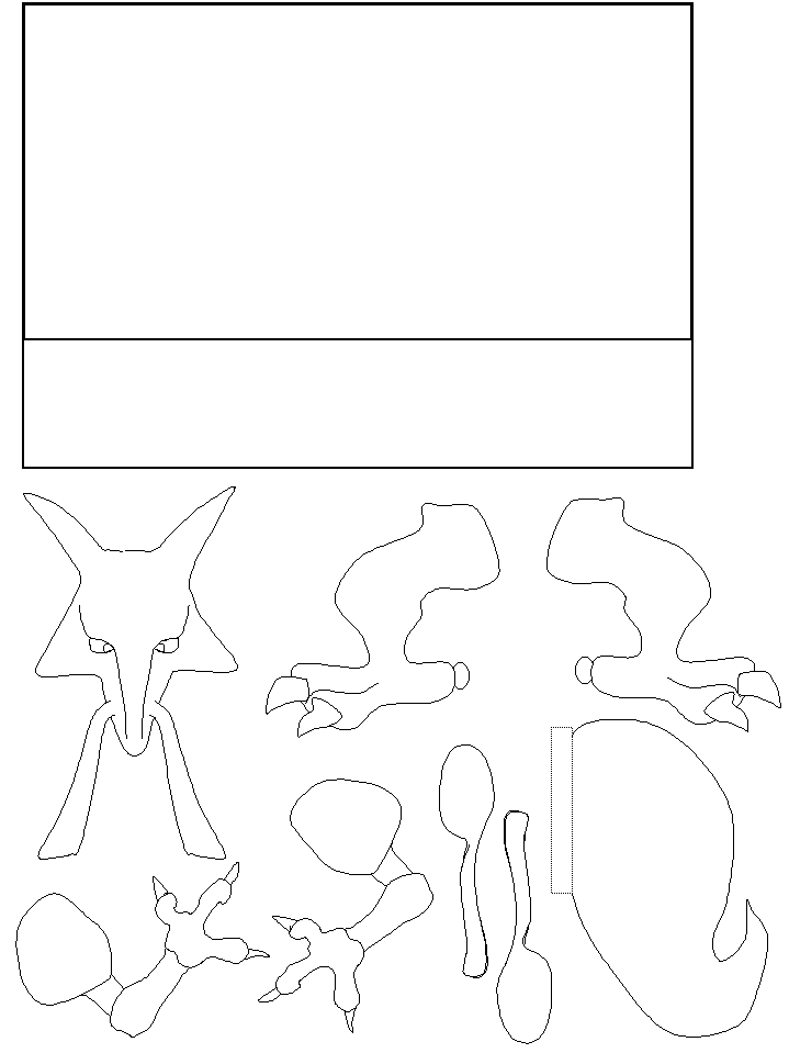 template