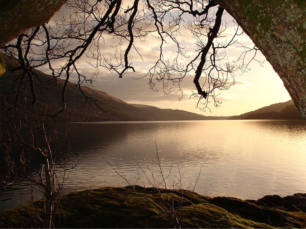 Puzzle Image