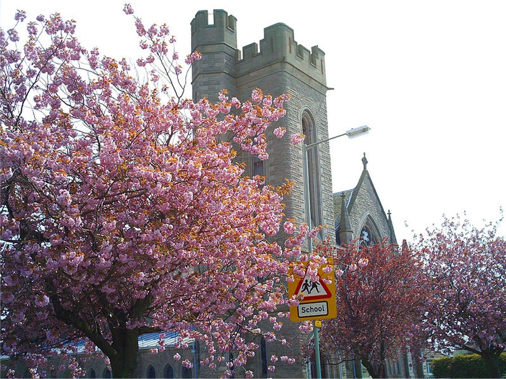 Puzzle Image