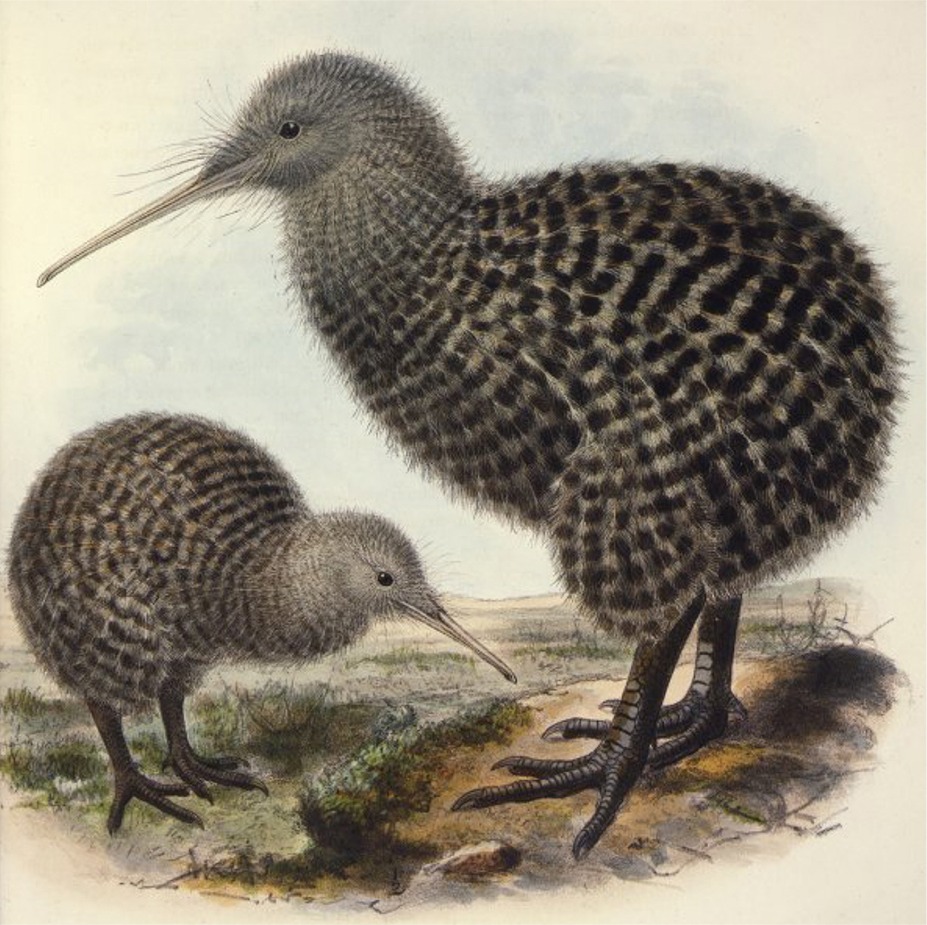 Puzzle Image