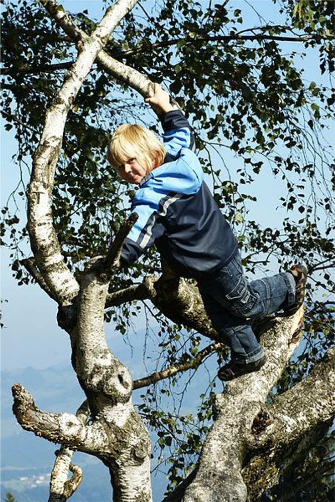Puzzle Image