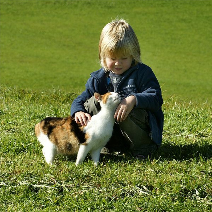 Puzzle Image