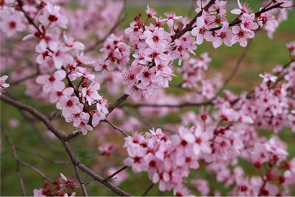 Puzzle Image
