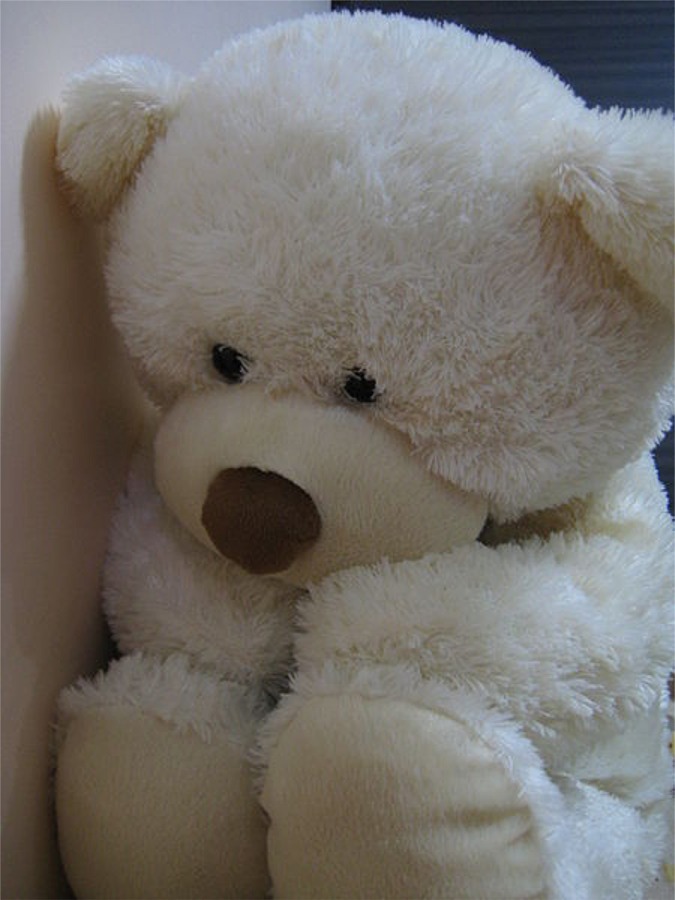 Puzzle Image