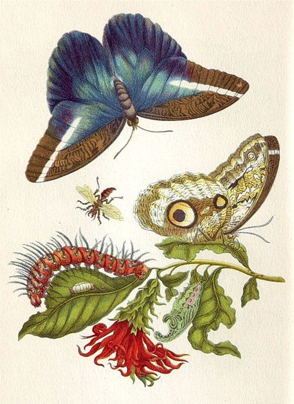 Puzzle Image