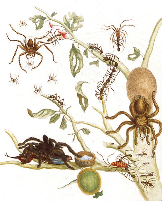 Puzzle Image