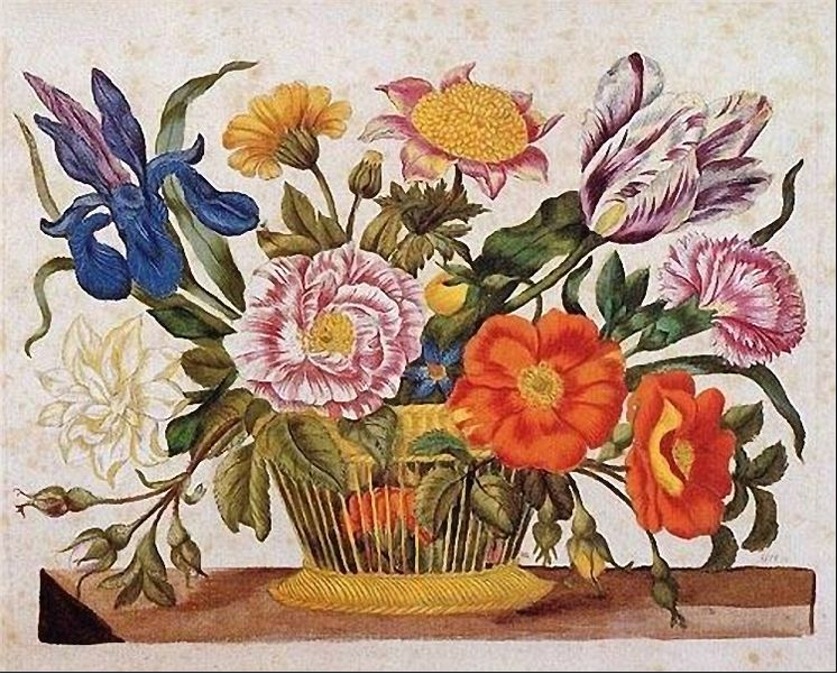 Puzzle Image