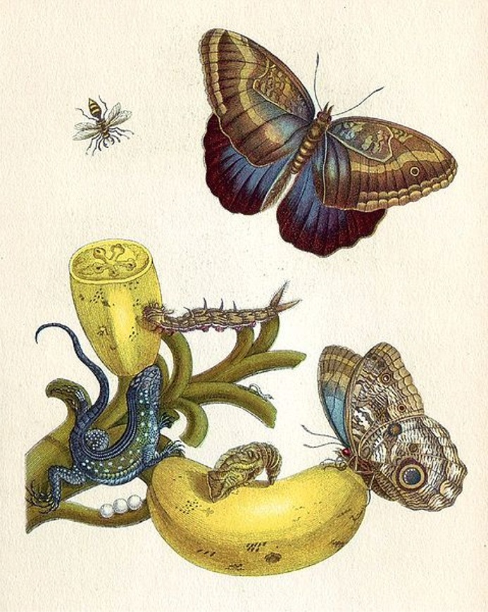 Puzzle Image