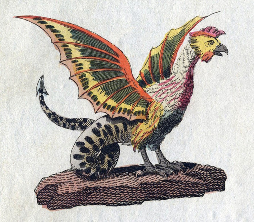 Puzzle Image