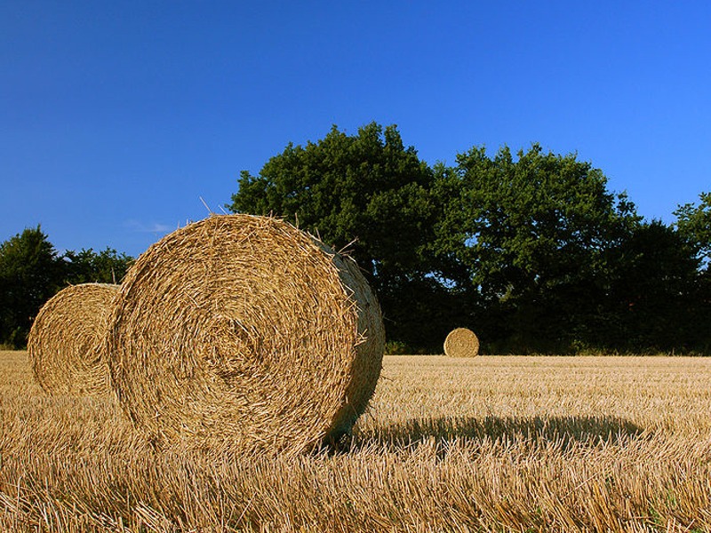 Puzzle Image