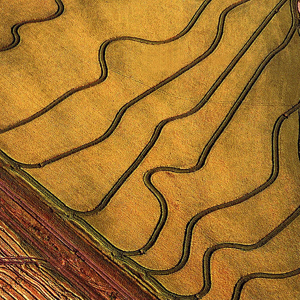 Puzzle Image