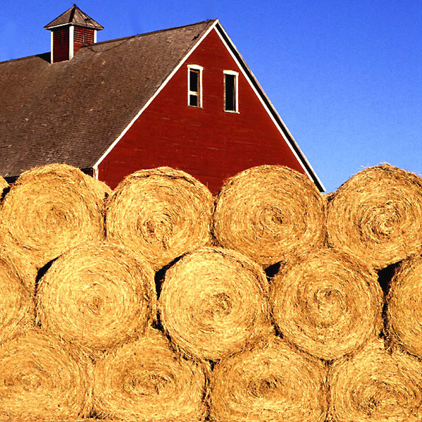 Puzzle Image