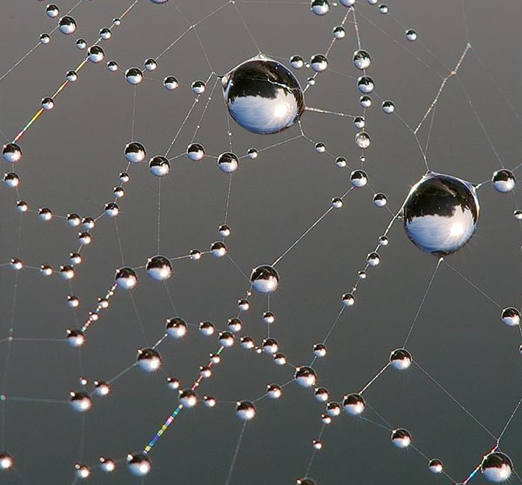 Puzzle Image