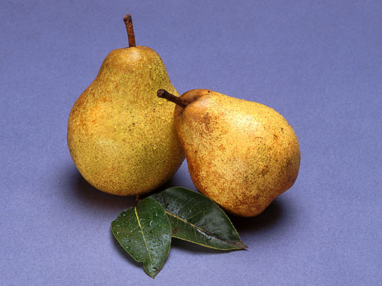 Puzzle Image