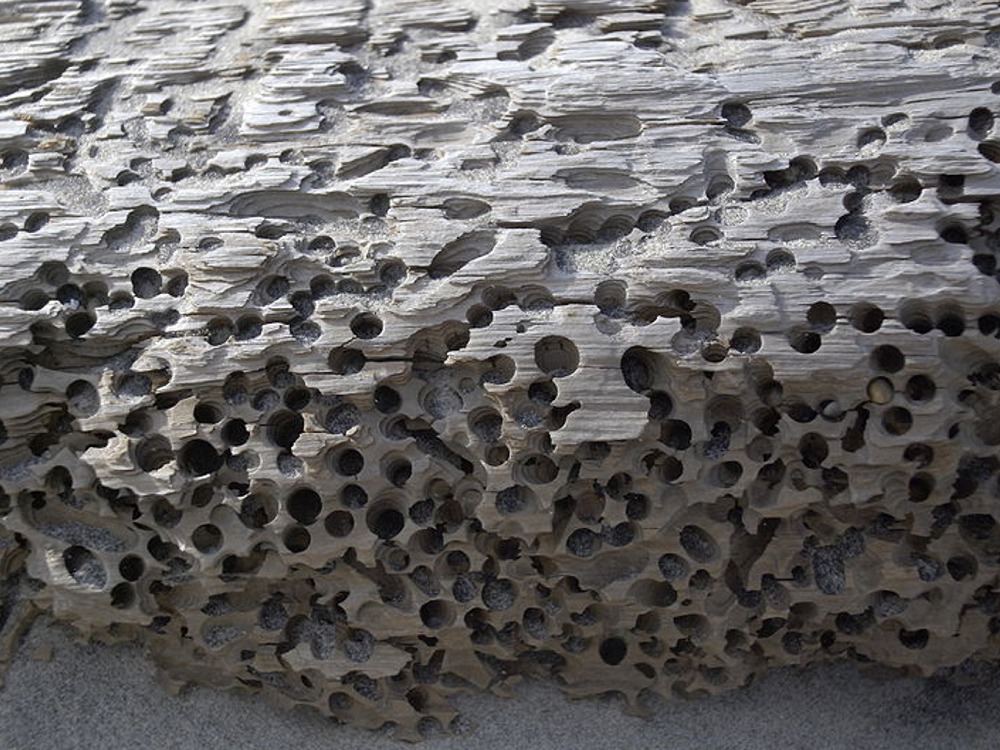 Puzzle Image