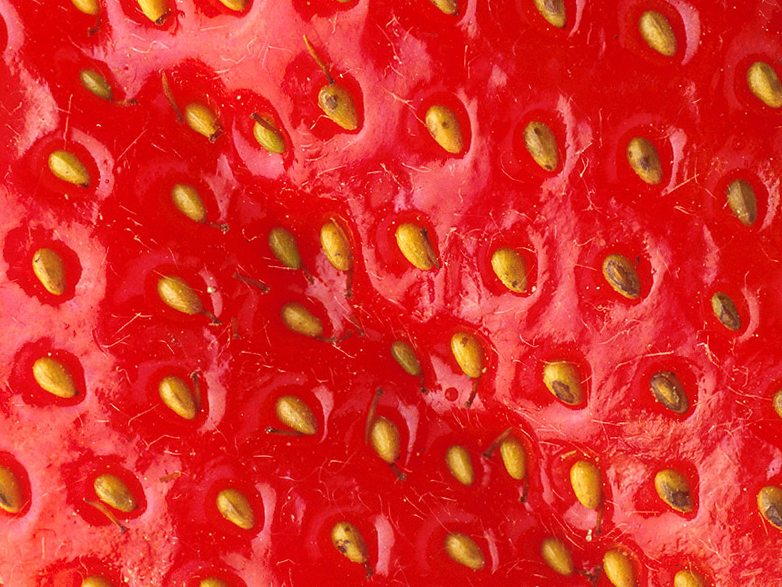 Puzzle Image
