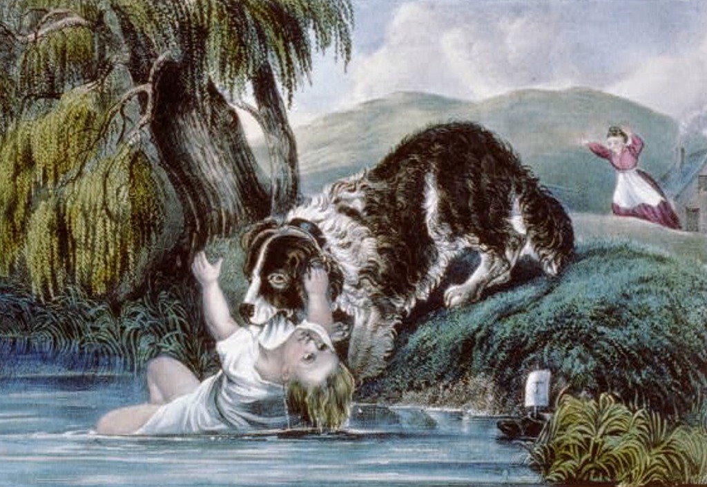 Puzzle Image