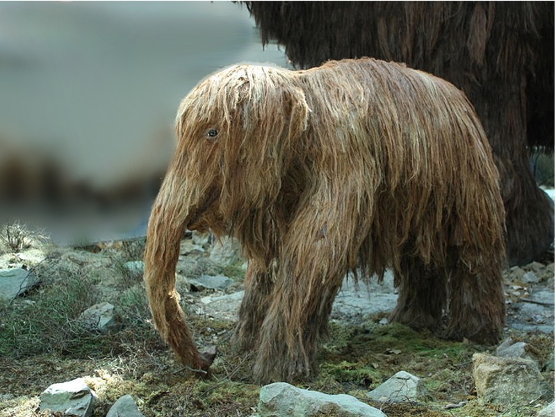 Puzzle Image